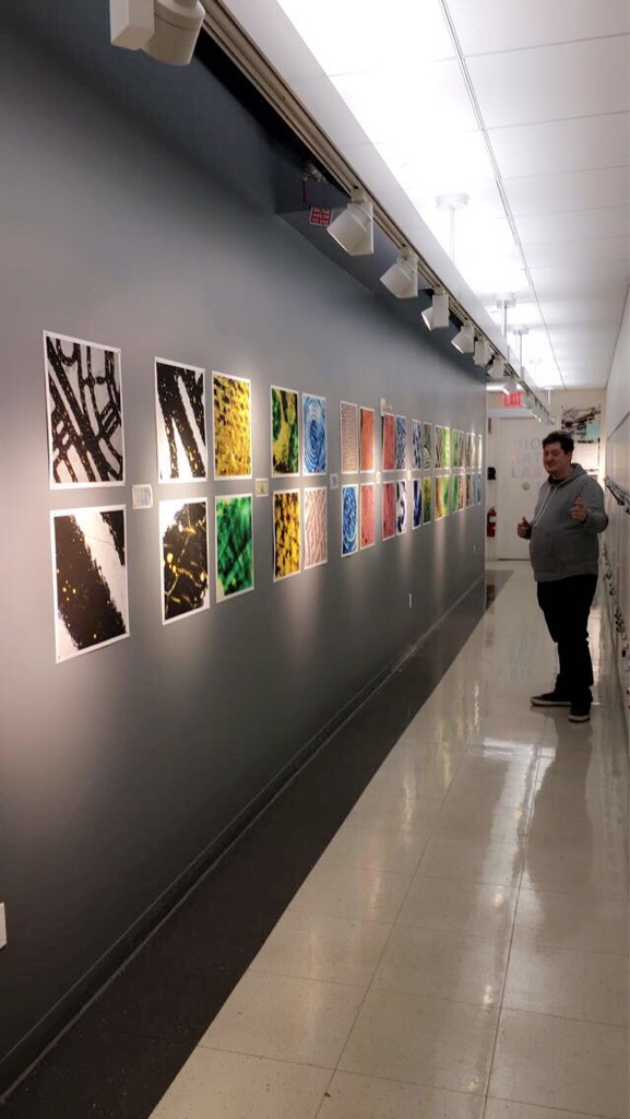 Print series installed in a gallery hallway