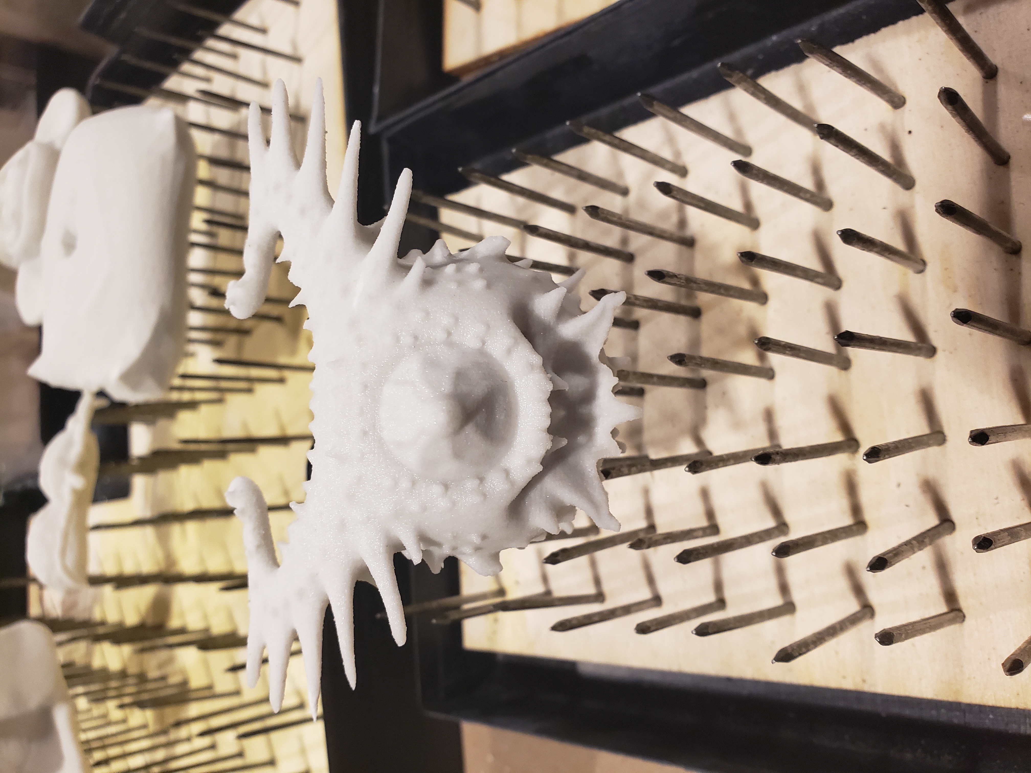 Spiky organic SLA 3D print on support structure