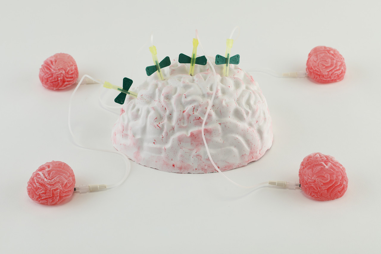 A brain form fed by IV lines and ringed by smaller brains on tubing